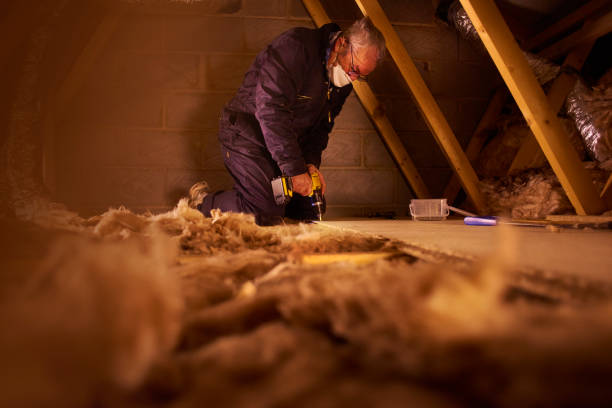 Best Insulation Maintenance and Repair in Timberline Fernwood, AZ