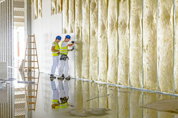 Best Types of Insulation in Timberline Fernwood, AZ